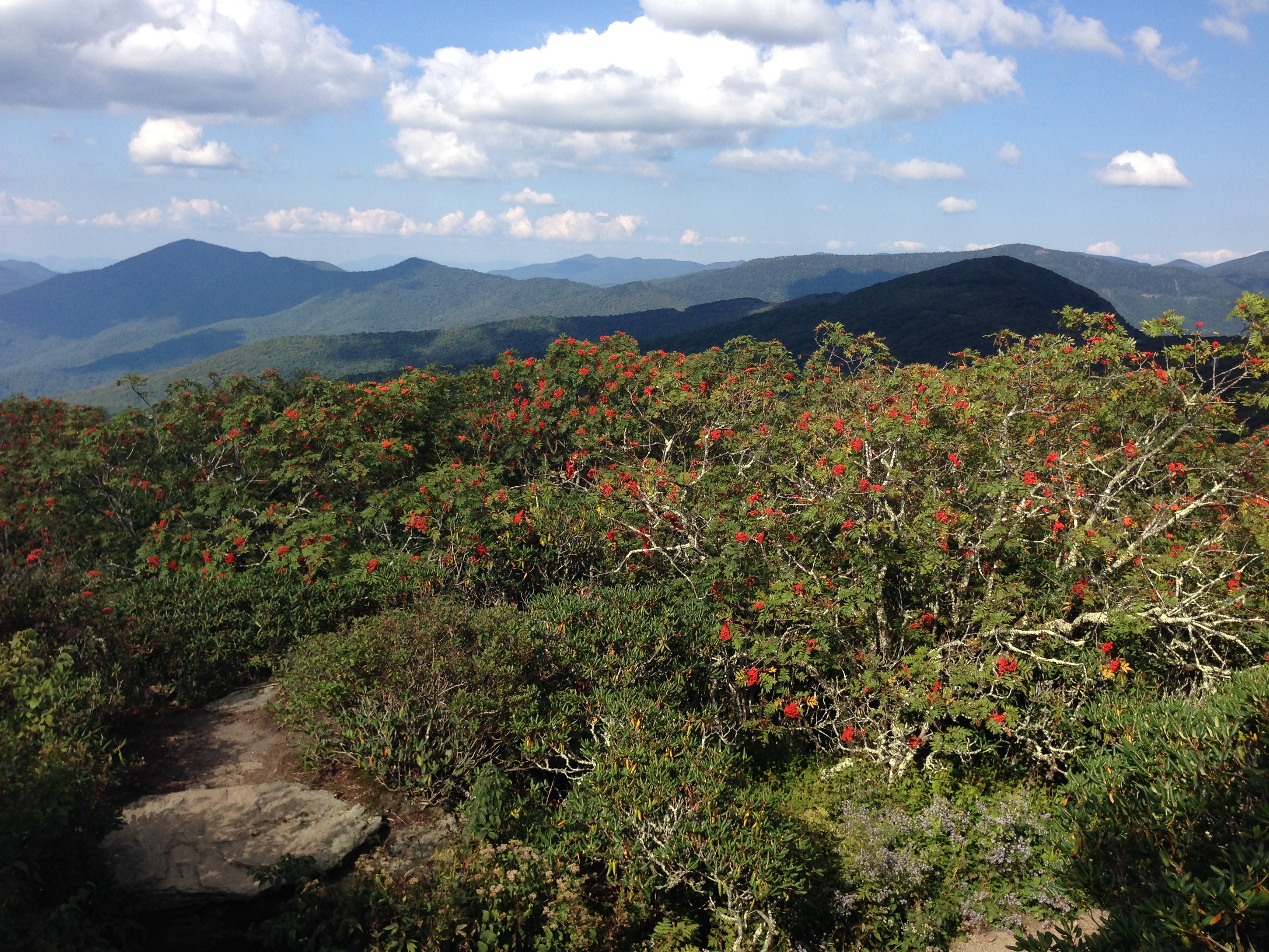 Craggy Pinnacle