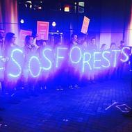 Save Our Southern Forests