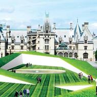 Biltmore Lawn