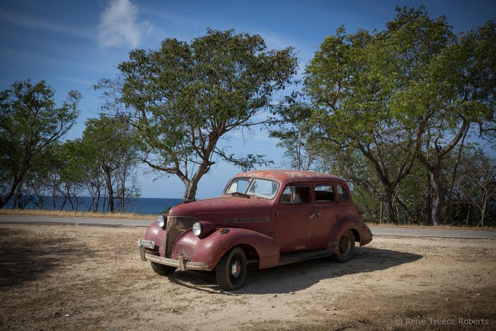 Photo: René Treece Roberts (Luxe House Photographic)