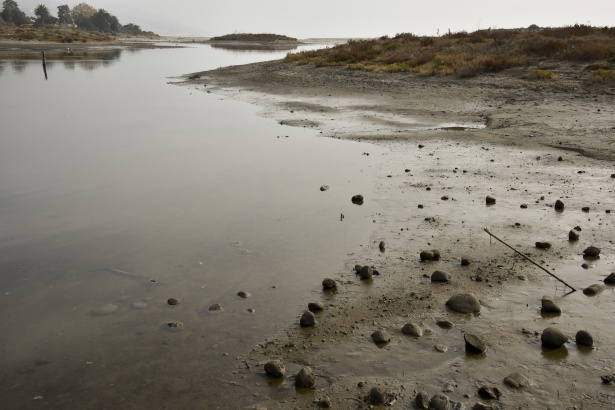 Wetlands